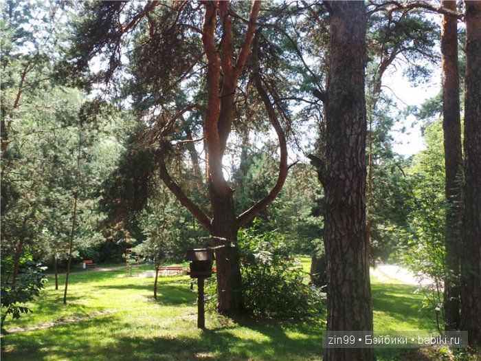 Прогулка в Серебряный бор! Вместе с Сюзи от Galoob Baby Face (фото 5)