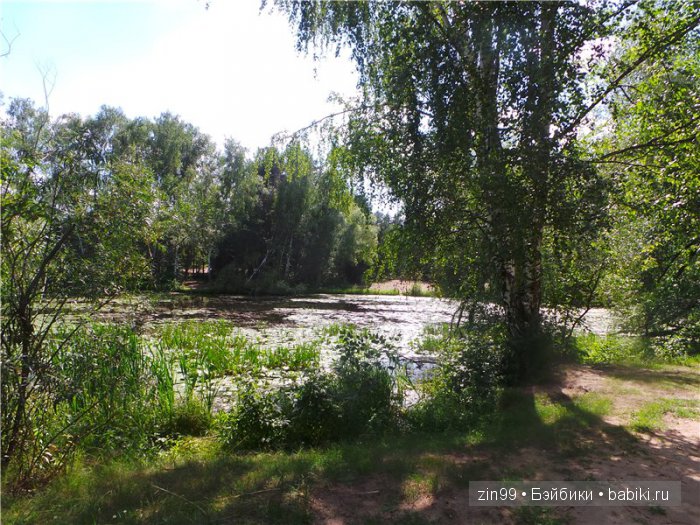 Прогулка в Серебряный бор! Вместе с Сюзи от Galoob Baby Face (фото 9)