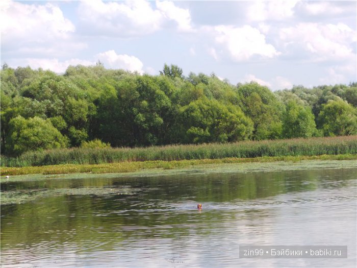 Прогулка в Серебряный бор! Вместе с Сюзи от Galoob Baby Face (фото 8)