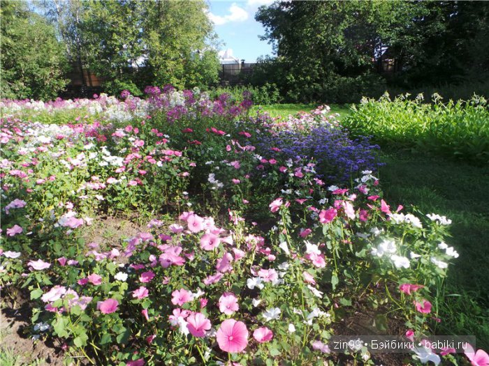 Прогулка в Серебряный бор! Вместе с Сюзи от Galoob Baby Face