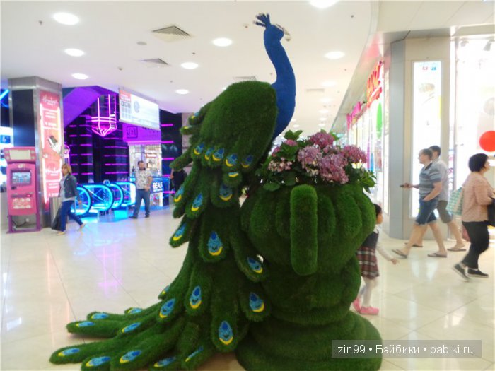 Монстры Хай снова в городе! И я говорю им Здравствуйте