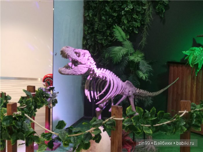 Cabbage Patch Kids dolls, на природе и в магазине