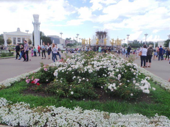 капустки капустки