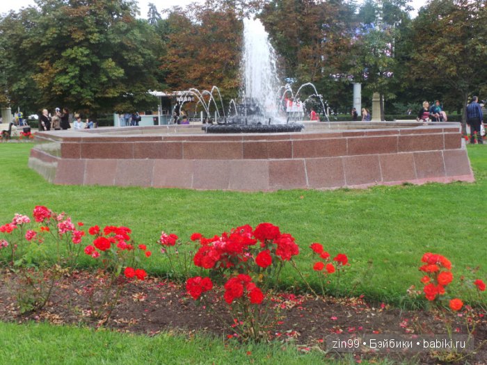 капустки капустки
