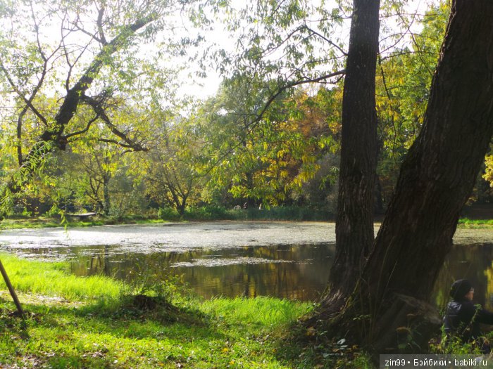 лена kidz'n'cats