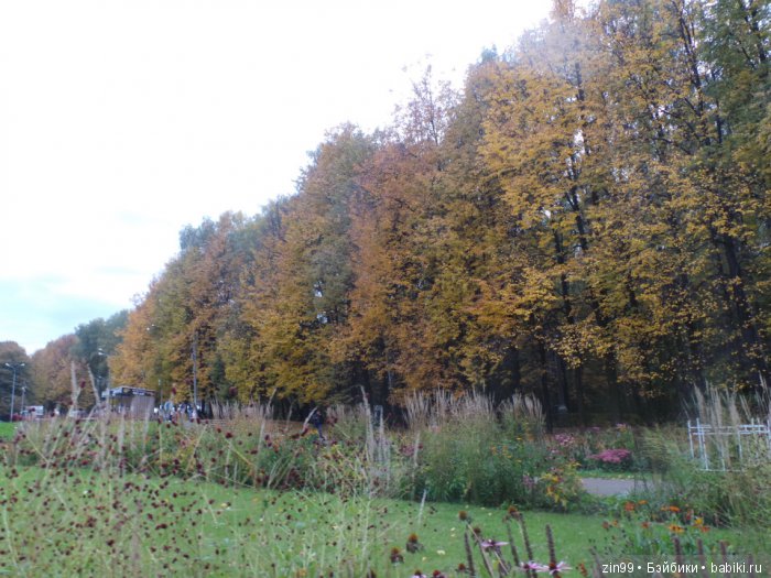 лена kidz'n'cats