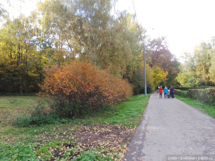 лена kidz'n'cats