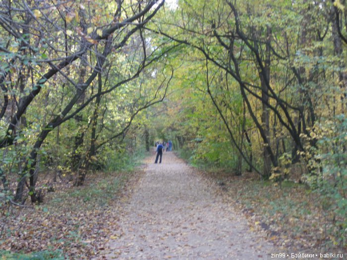 лена kidz'n'cats