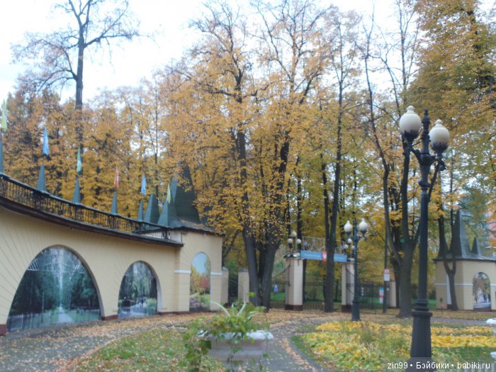 лена kidz'n'cats