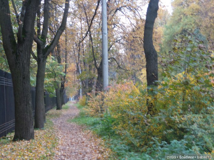 лена kidz'n'cats