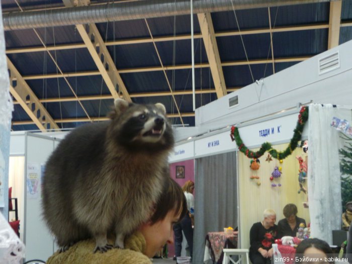 выставка хелло тедди