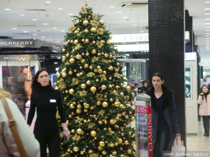 В поисках Снегурочки, Часть вторая! Кинзики должны помочь (фото 6)