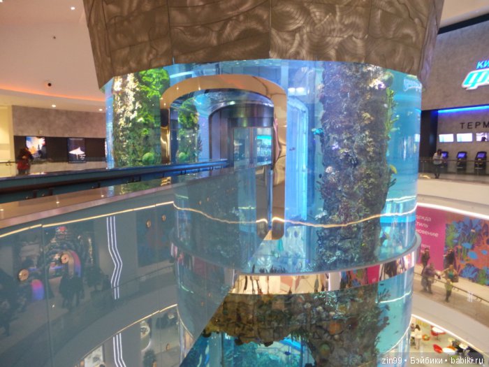 В поисках Снегурочки, Часть вторая! Кинзики должны помочь