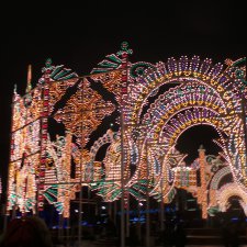 Ёлки по городу мчатся... С новым 2017 годом