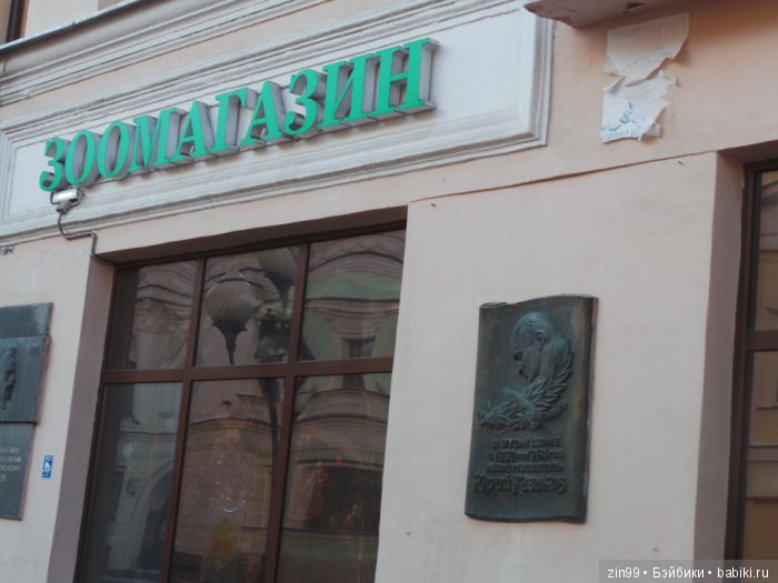 паола рейна паола рейна