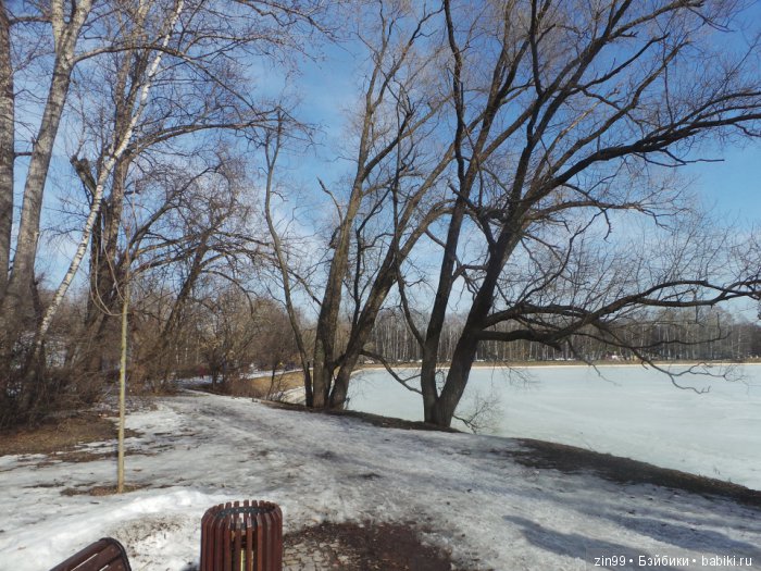 Оттепель или воскресная прогулка