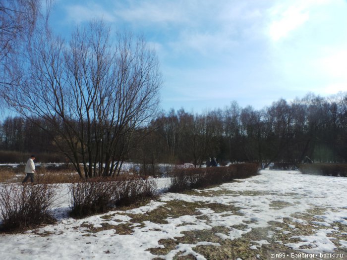 Оттепель или воскресная прогулка