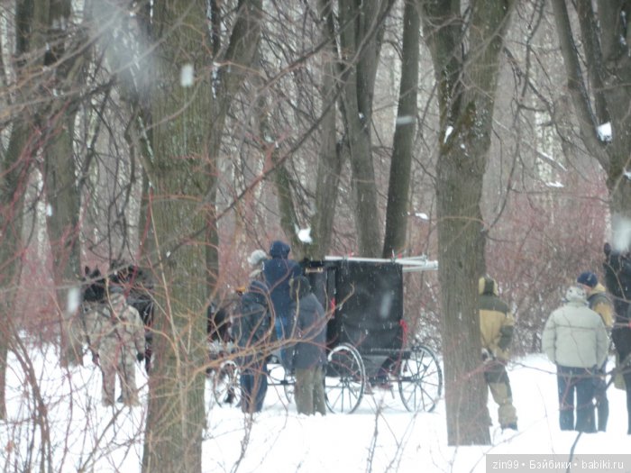 Оттепель или воскресная прогулка (фото 10)