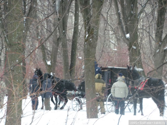 Оттепель или воскресная прогулка (фото 9)