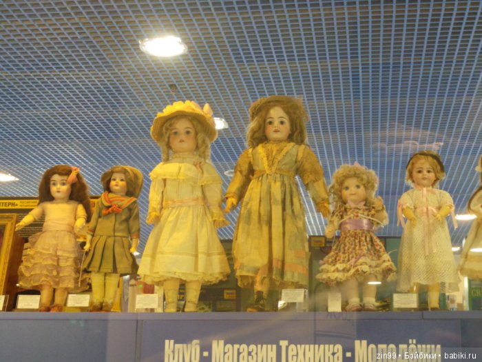 паолка паолка