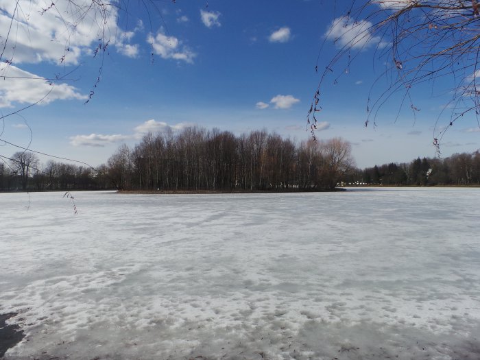 Весна идёт, весне дорогу — Куклы Kidz'n'Cats (Соня Хартман): шарнирные 46 см (фото 6)