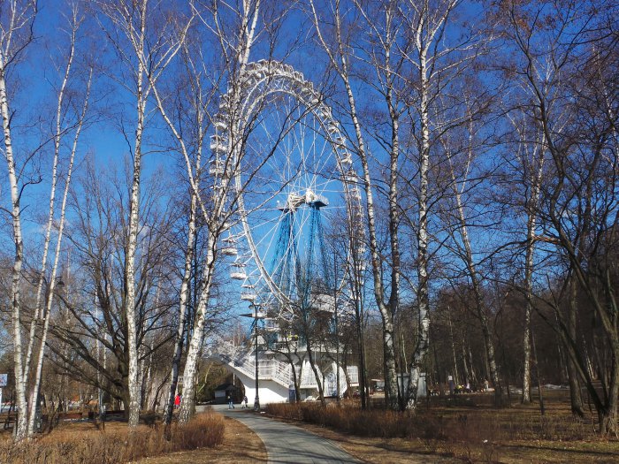 Весна идёт, весне дорогу — Куклы Kidz'n'Cats (Соня Хартман): шарнирные 46 см (фото 5)