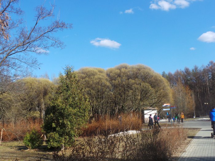 Весна идёт, весне дорогу — Куклы Kidz'n'Cats (Соня Хартман): шарнирные 46 см