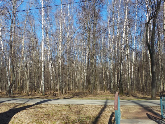 Весна идёт, весне дорогу — Куклы Kidz'n'Cats (Соня Хартман): шарнирные 46 см (фото 3)