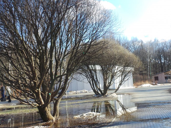 Весна идёт, весне дорогу — Куклы Kidz'n'Cats (Соня Хартман): шарнирные 46 см