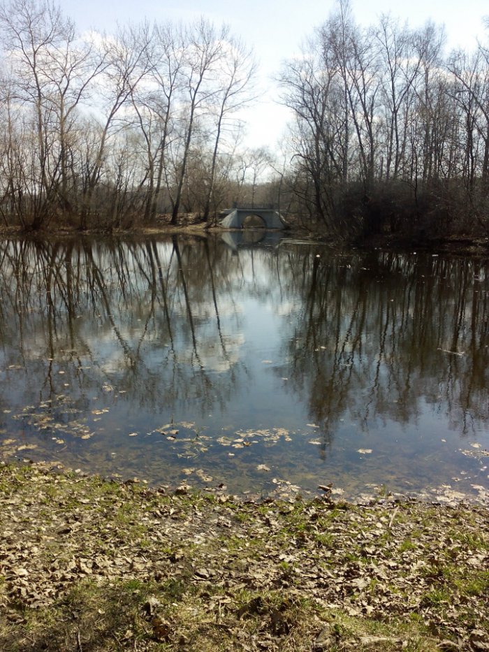 Весна идёт, весне дорогу — Куклы Kidz'n'Cats (Соня Хартман): шарнирные 46 см