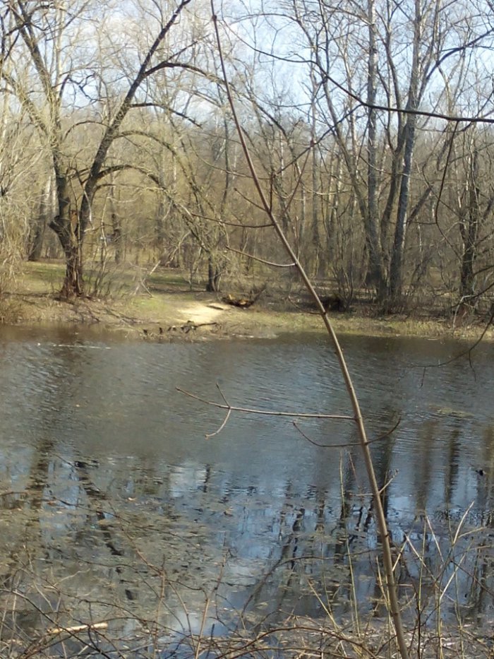 Весна идёт, весне дорогу — Куклы Kidz'n'Cats (Соня Хартман): шарнирные 46 см