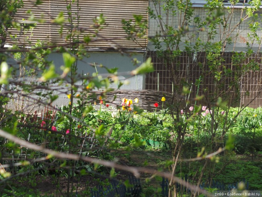 Весна! Всё распускается! Мои девочки от Линды Рик