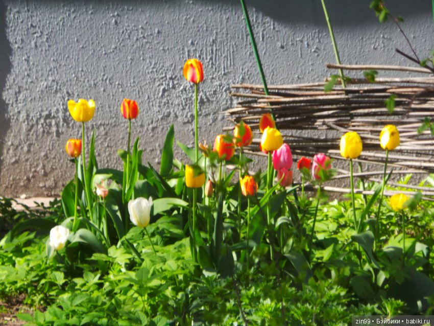 Весна! Всё распускается! Мои девочки от Линды Рик