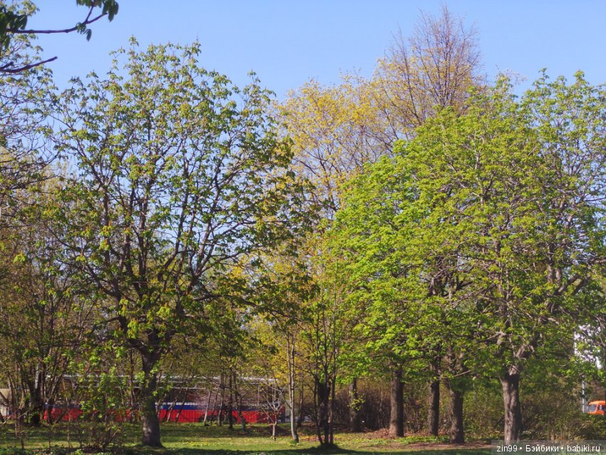 Весна! Всё распускается! Мои девочки от Линды Рик (фото 2)