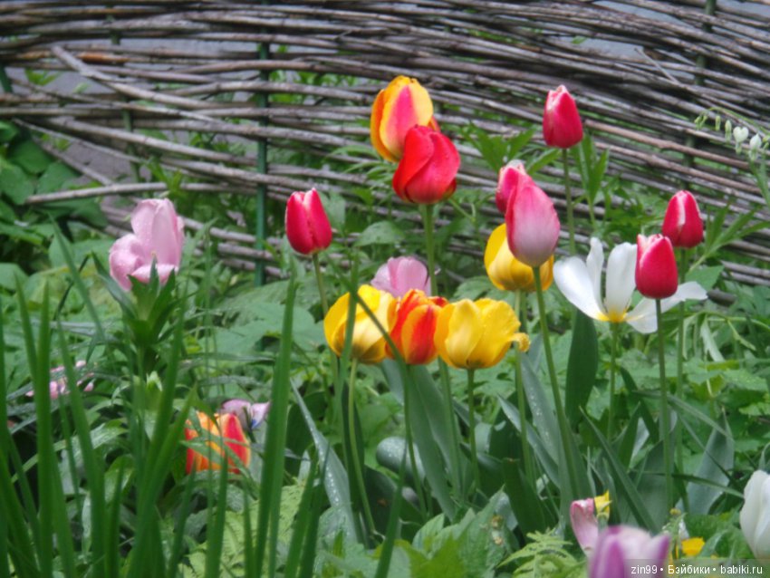 Kidz'n'Cats! Теперь у нас, снова мальчики! И новые наряды для девочек