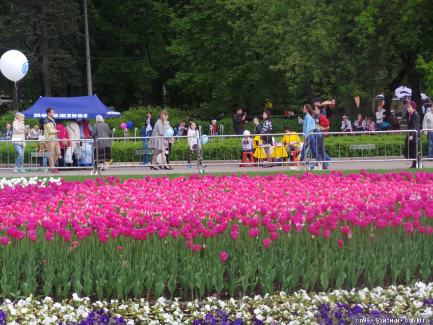 День Мороженого в парке Сокольники, с капустками