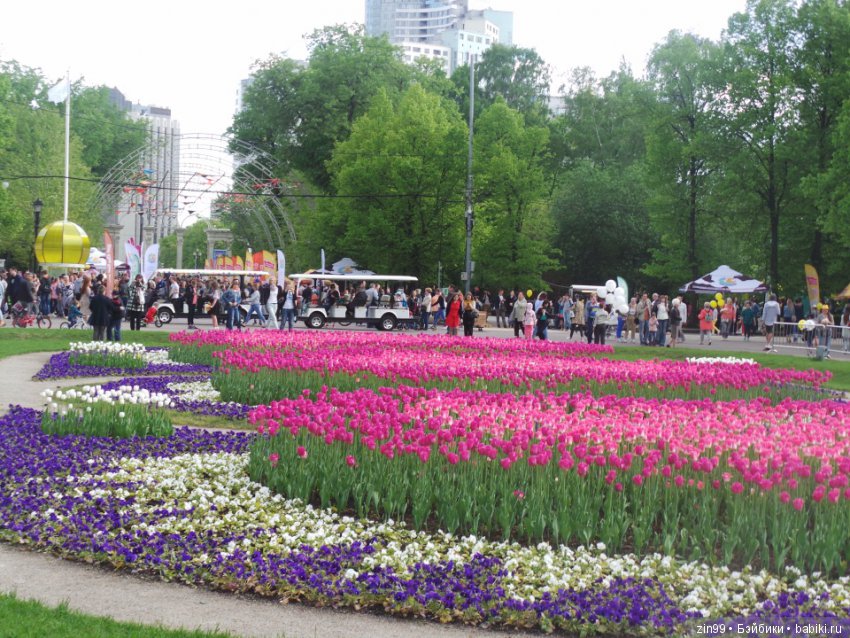 День Мороженого в парке Сокольники, с капустками