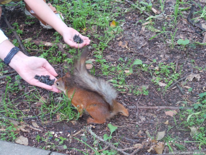 Выходной день, успеть бы до дождя (фото 6)