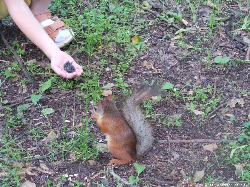 паола рейна