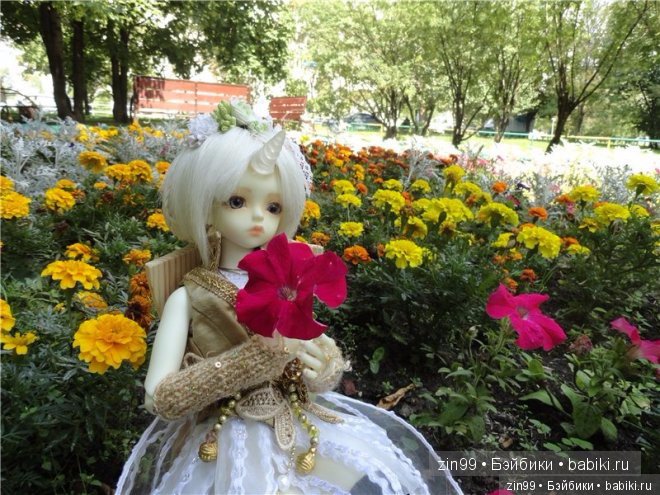 Мои первые пять лет на этом сайте и любимые куклы Kidz'n'Cats