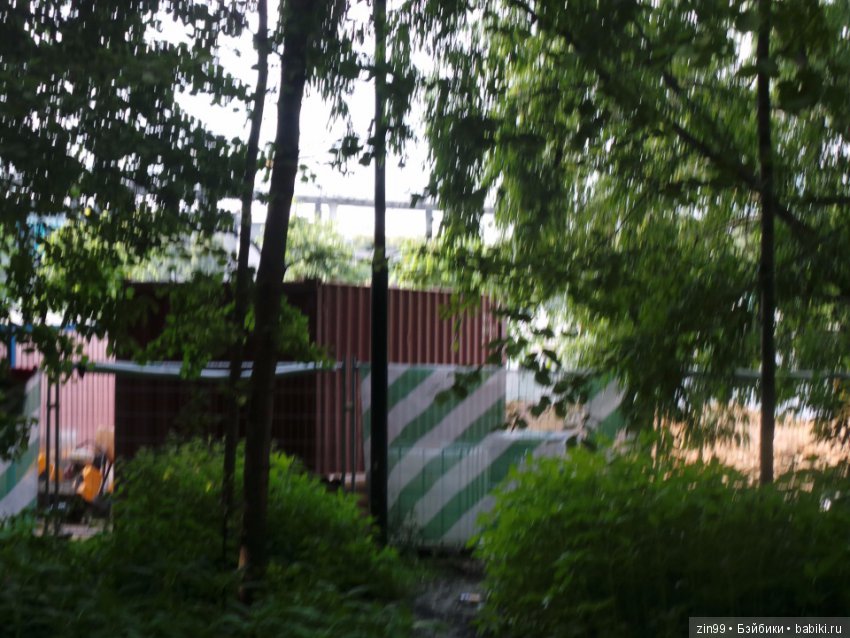 Нескучный сад или небольшая летняя прогулка