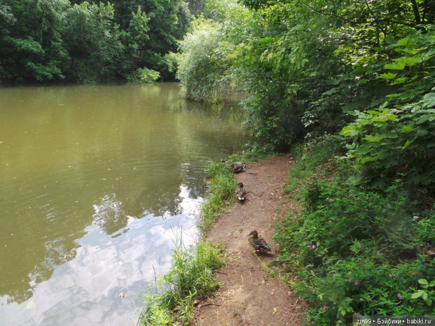 Нескучный сад или небольшая летняя прогулка