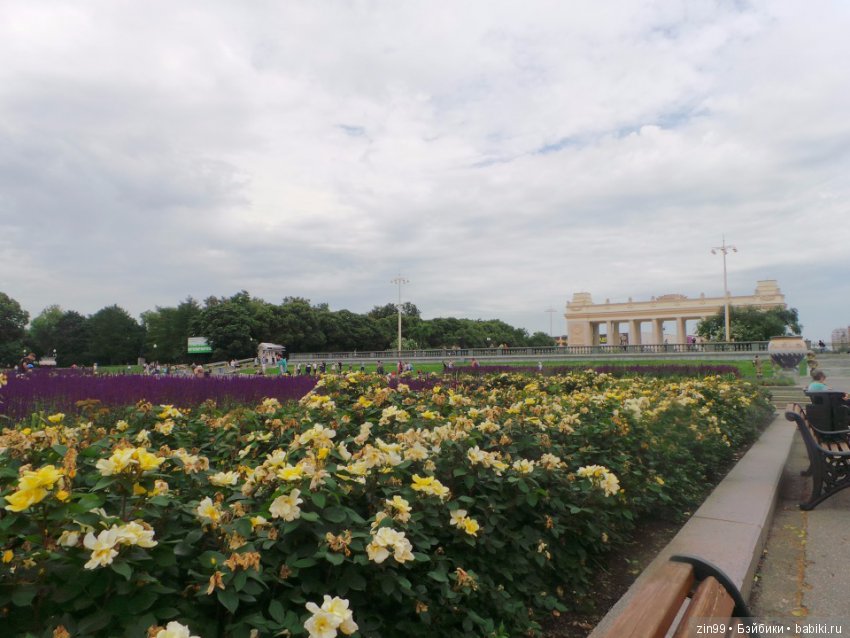 Нескучный сад или небольшая летняя прогулка (фото 2)