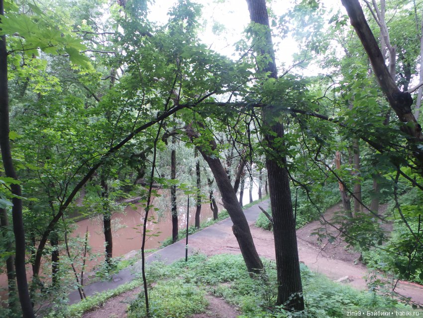 Нескучный сад или небольшая летняя прогулка