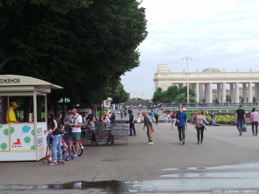 Нескучный сад или небольшая летняя прогулка (фото 7)