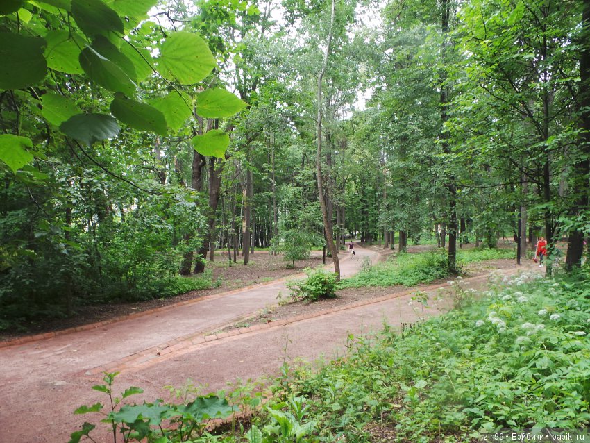 Нескучный сад или небольшая летняя прогулка