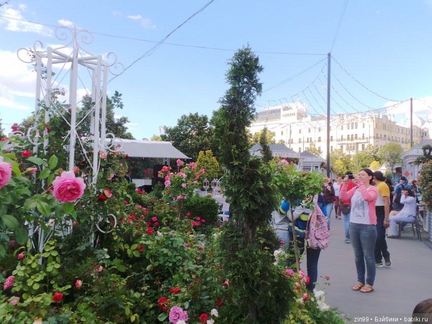 московское лето