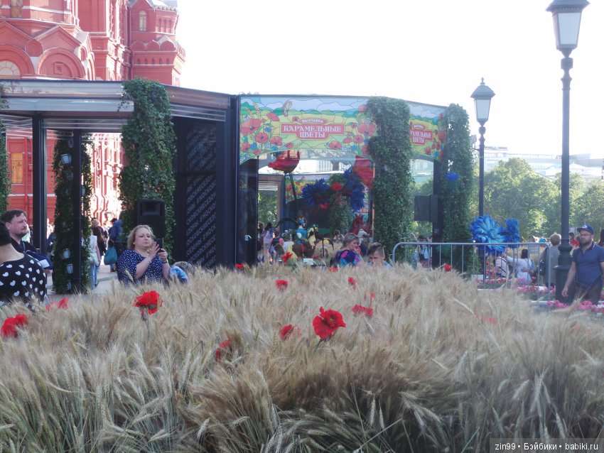 московское лето