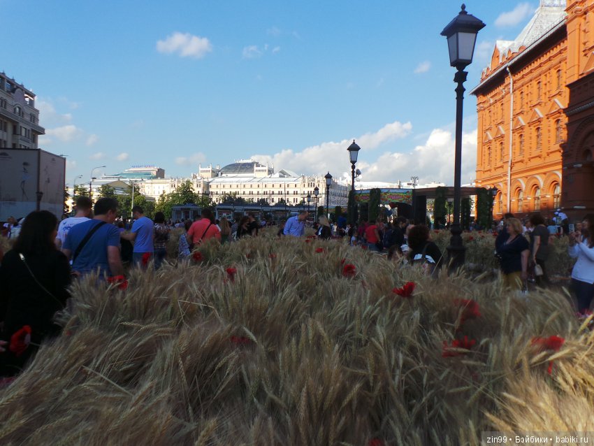 московское лето