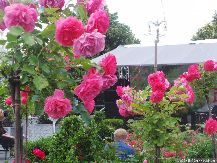 московское лето